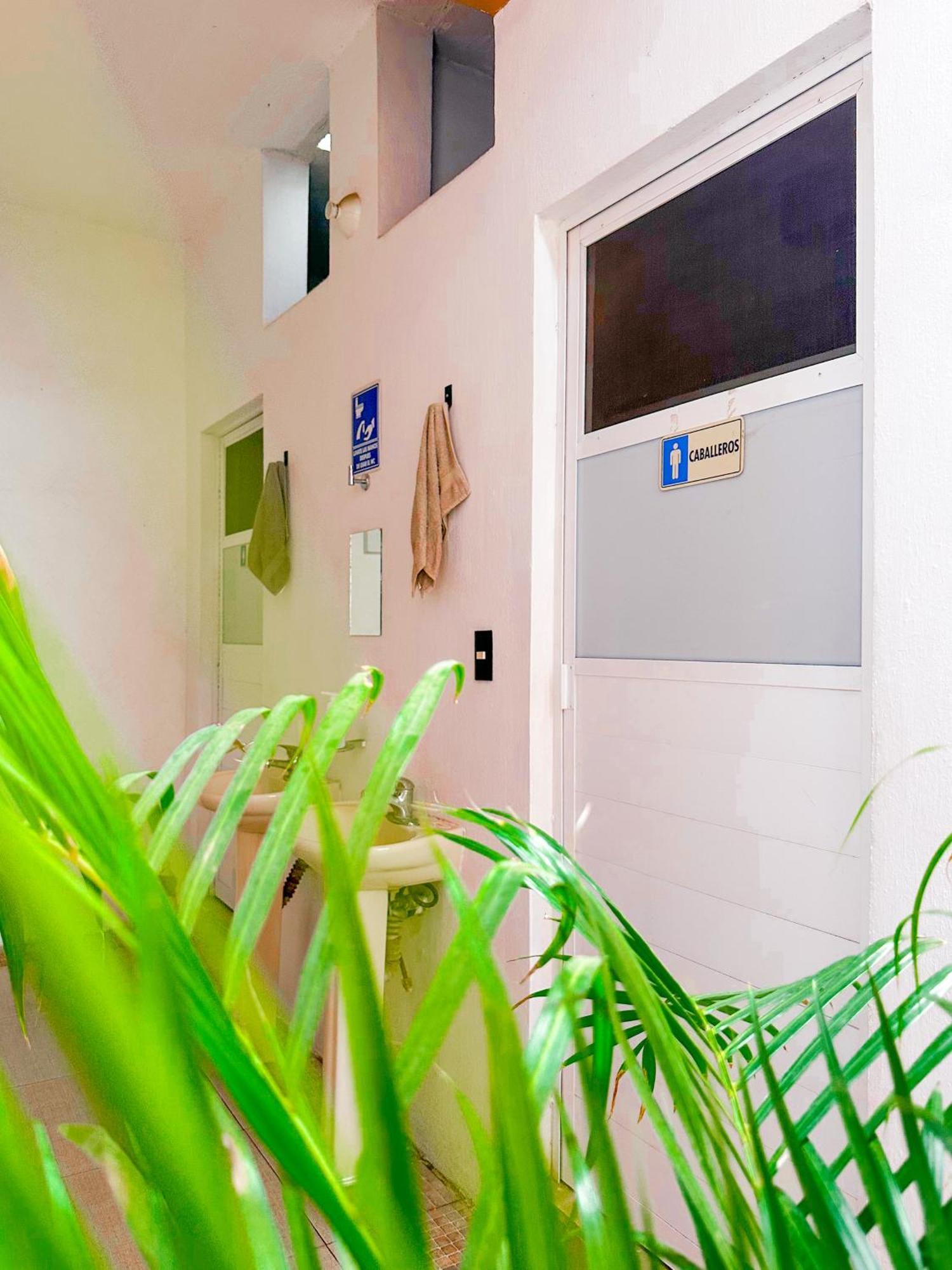 Habitacionez Hvuz Oaxaca Eksteriør billede