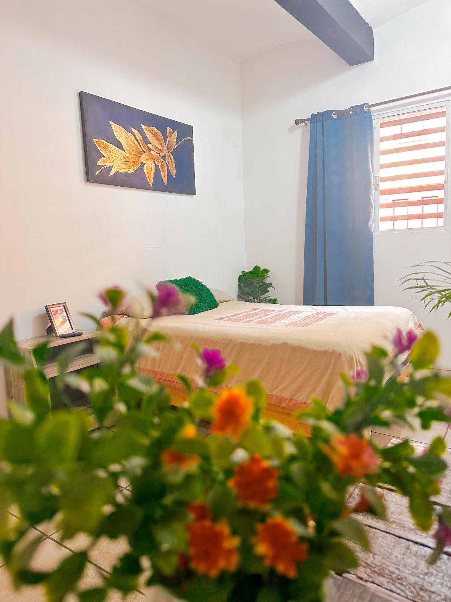 Habitacionez Hvuz Oaxaca Eksteriør billede