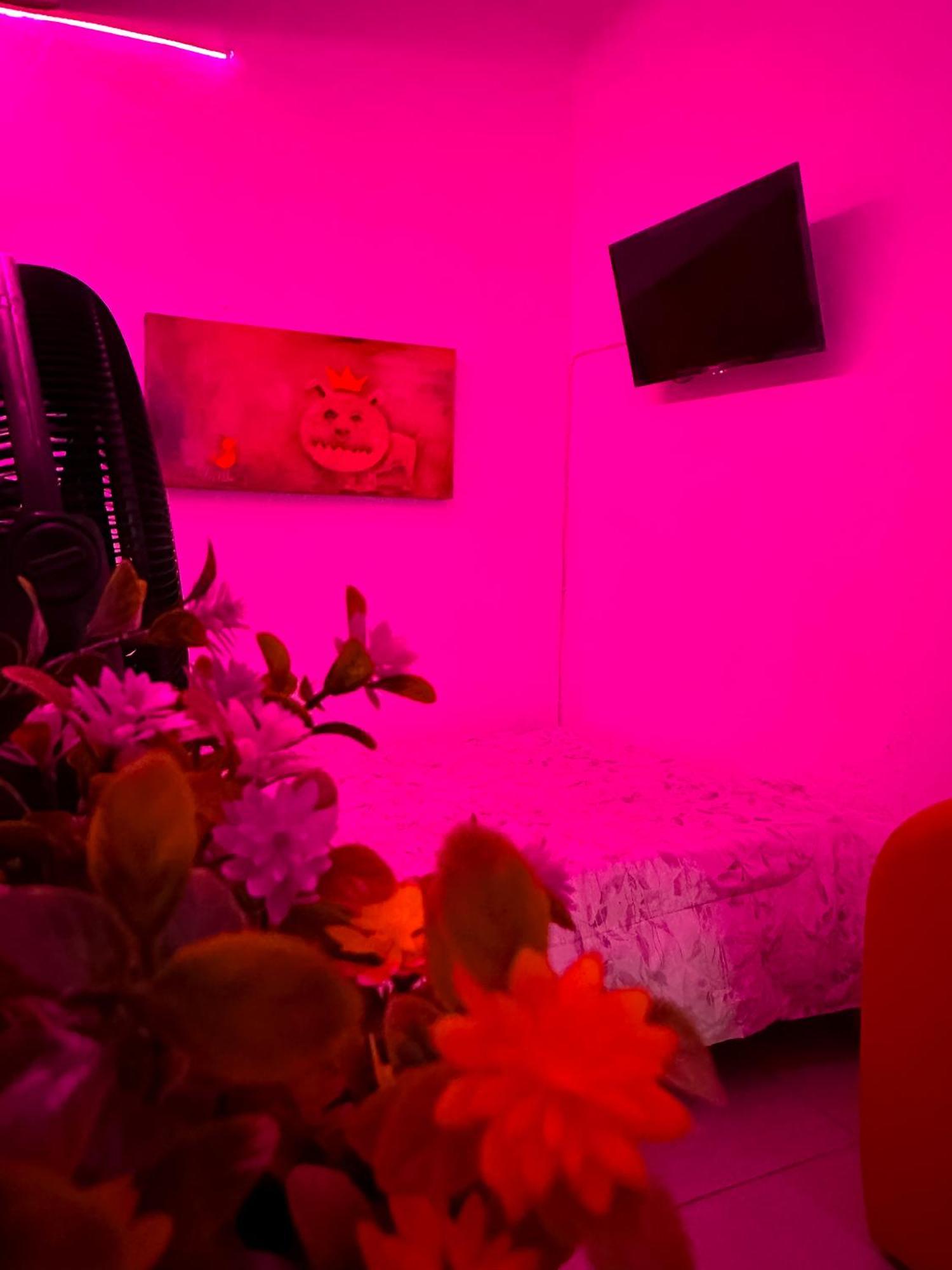 Habitacionez Hvuz Oaxaca Eksteriør billede